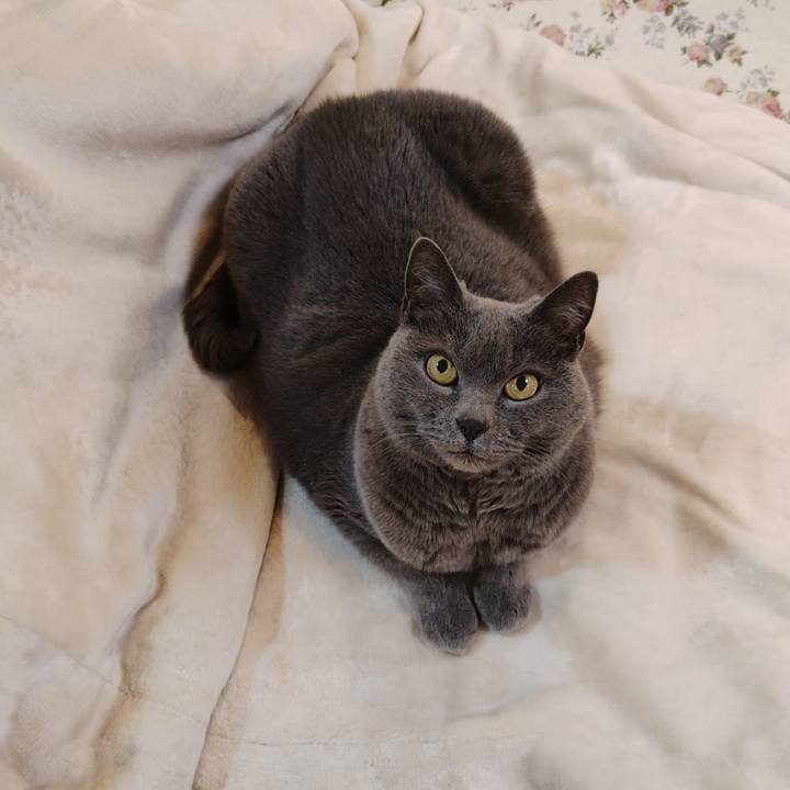 C8ee9fd5 4443 4160 930c 4b3117d0178c 1774184794567