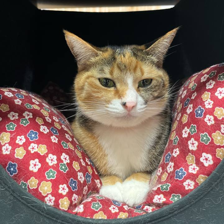 C8eea08c adca 4336 b892 1b9efa043155 1676970163472