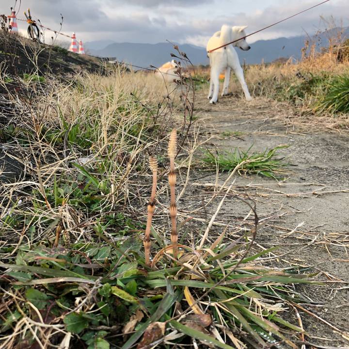 C8eeadeb f19a 4abc 9c38 19c10f60c1d3 1550633893933