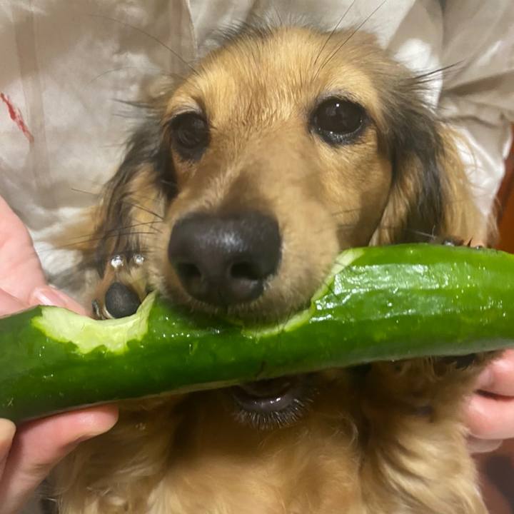 C8eeb5fa 0c3d 417b abba bfe6a3ffb9af 1622121341906