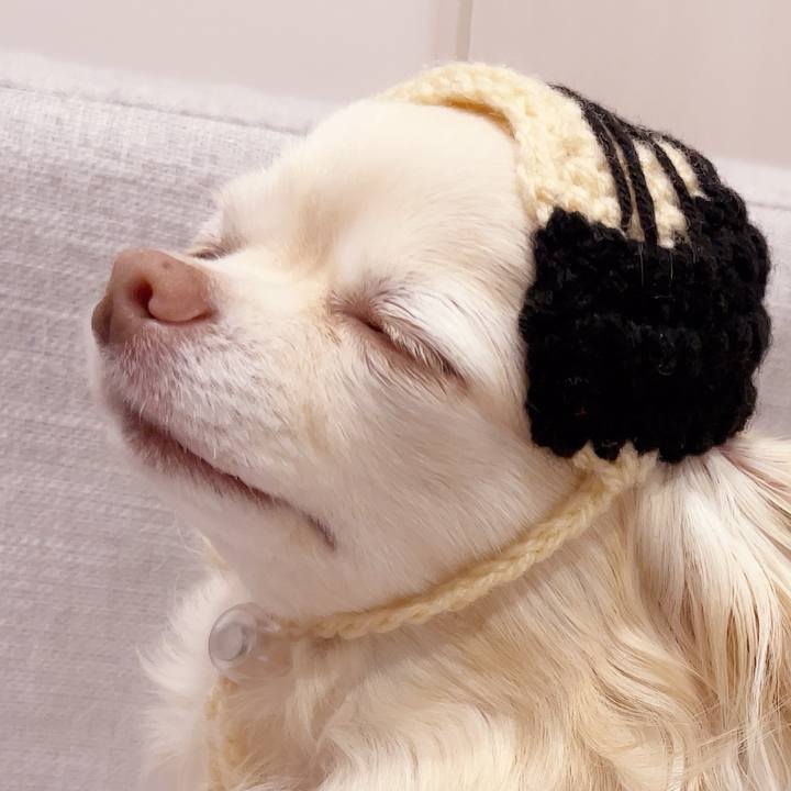 C8eebbec 91da 44fe 9ae8 8a9a26eaab5f 1744796101548