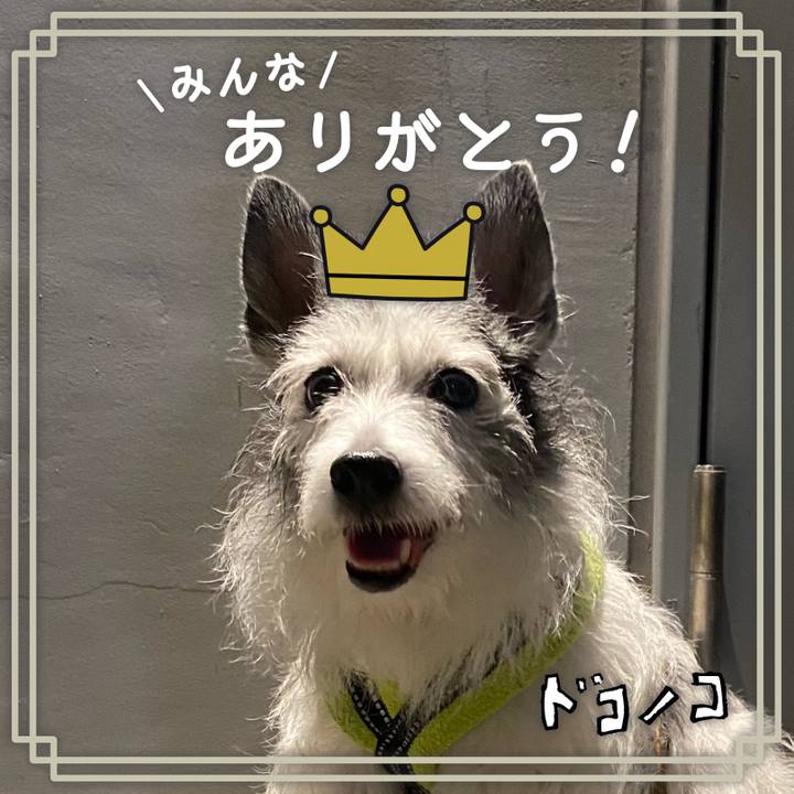 C8ef13ad 00a8 4b57 b4e0 680a3ca24b10 1622856215601