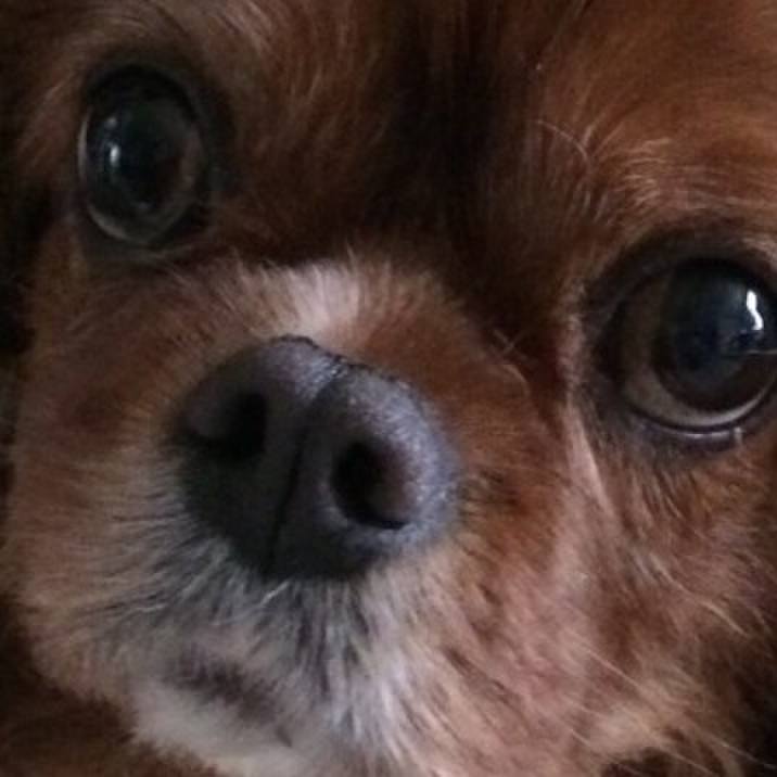 C8ef19d8 2bf4 4181 9628 e5df5d7a7a54 1516534500690