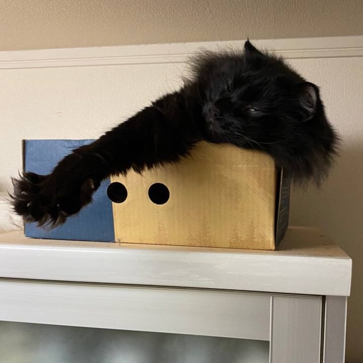 C8ef2f87 35f6 467f 91ec 0cc99006423e 1577626322770