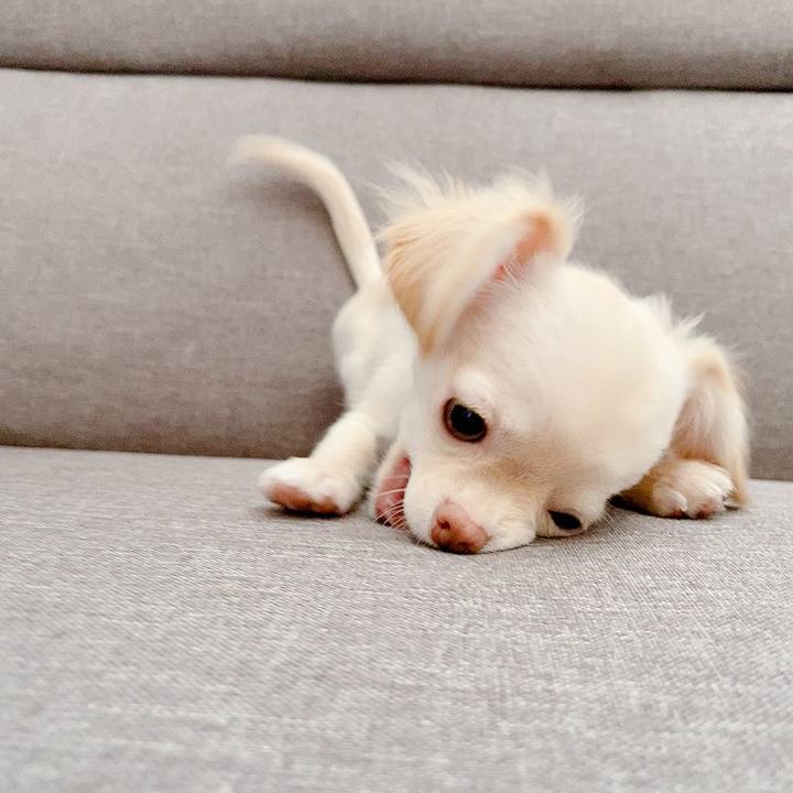 C8ef8295 d64b 435e ba19 287a79f58768 1592378083044