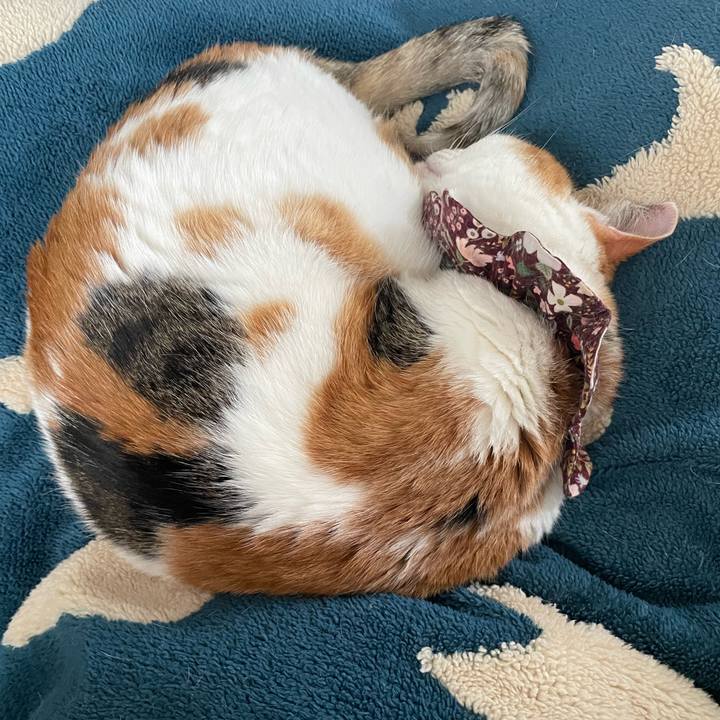 C8ef8dd0 cf92 4a75 a96c baf4e0b1383e 1743221752656