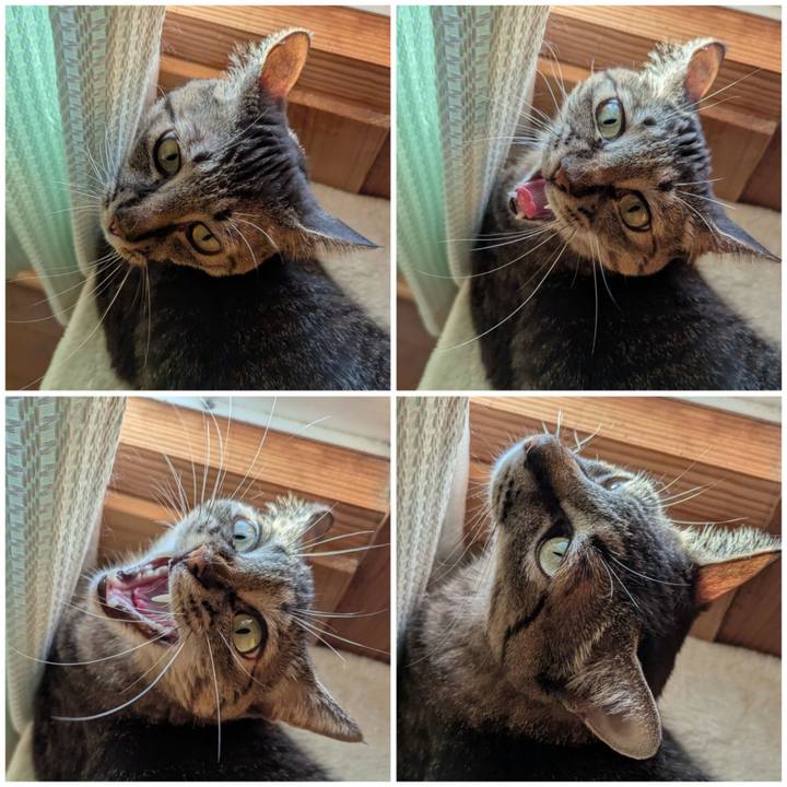 C8efc0e9 30e0 406d 917a b35888b64dee 1755675135755