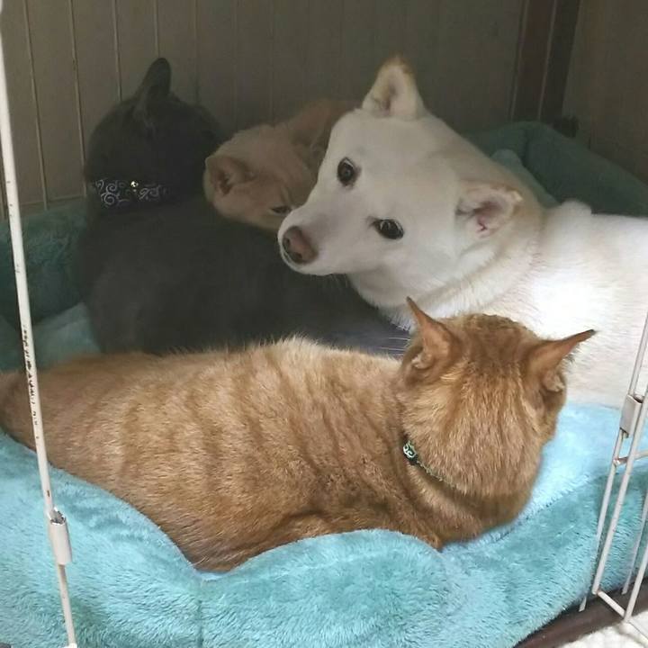 C8efc10d 101d 4ff4 b082 911a290bd5ea 1579067050941