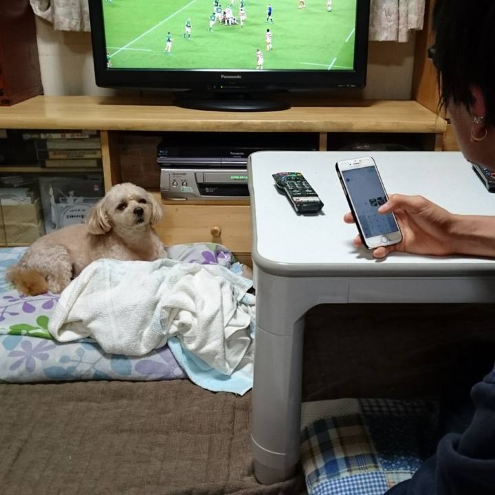 C8efcb22 4b1c 4b85 82a8 d3160330b0d9 1569661441430