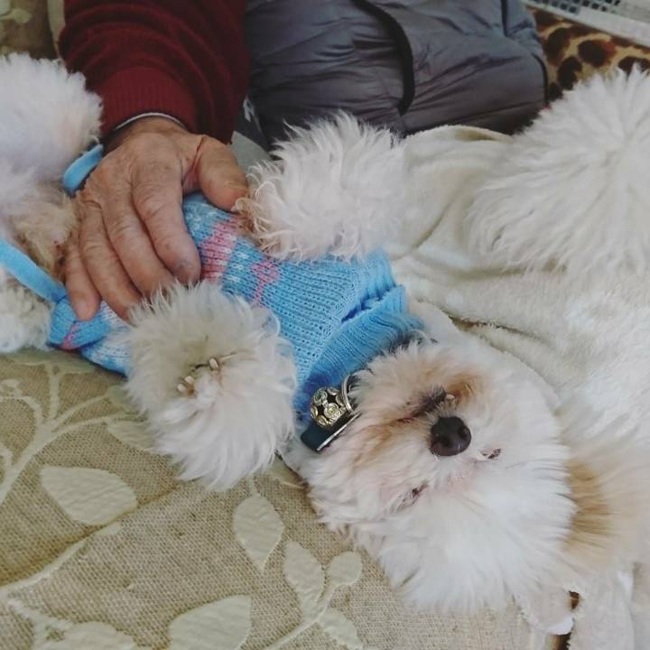 C8efde9a a34e 414f ab2d f31fc36bb3be 1517980821773