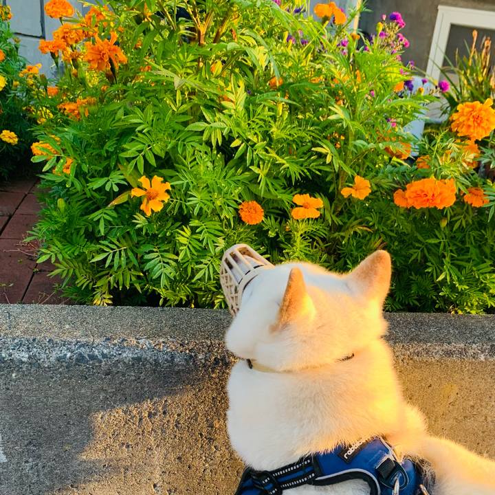 C8eff8c9 cfc3 41a7 8129 3307a0b29d9b 1632604922538