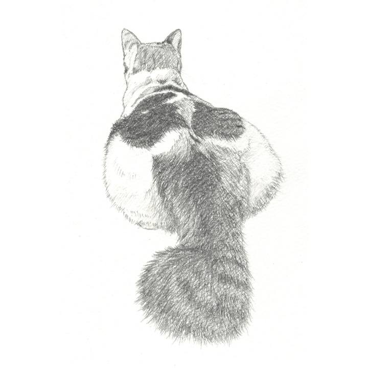 C8f00c7e 5be0 49ec bc2f bc1e59448c7e 1549196051113