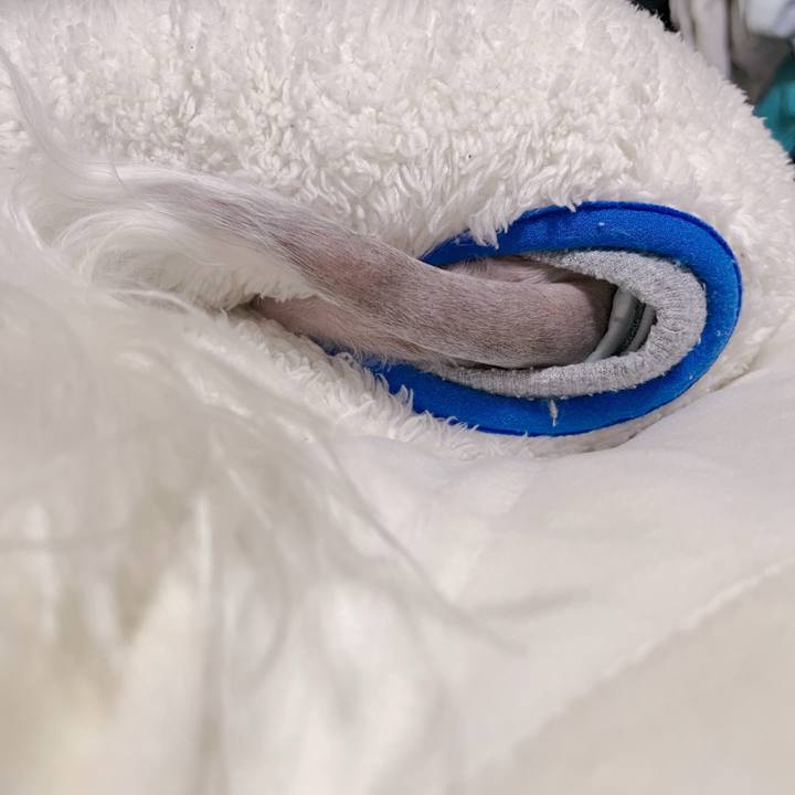 C8f02e12 bae9 4b91 89bf ae0bdf919d5a 1765703168918