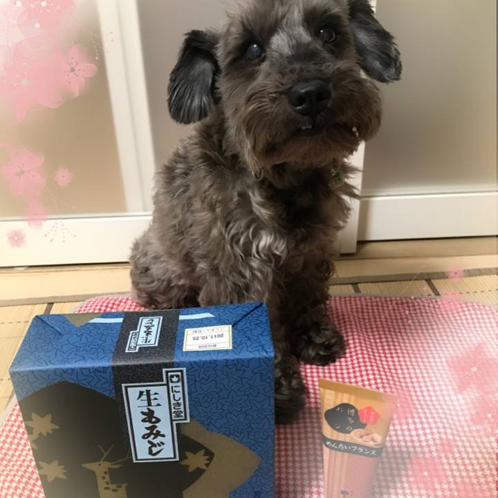 C8f05346 14b2 4a44 8842 f8eb76130b8a 1508055360382