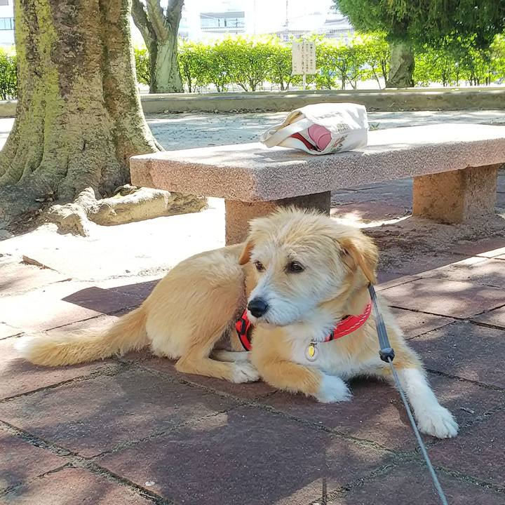 C8f0813b 202a 4225 bdb7 783cdeab4e27 1528871926188