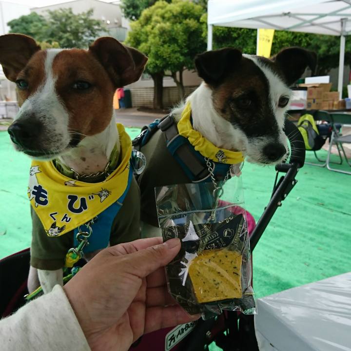 C8f091c4 8645 4ad2 bb7d 5b2dc6bd983e 1560061135883