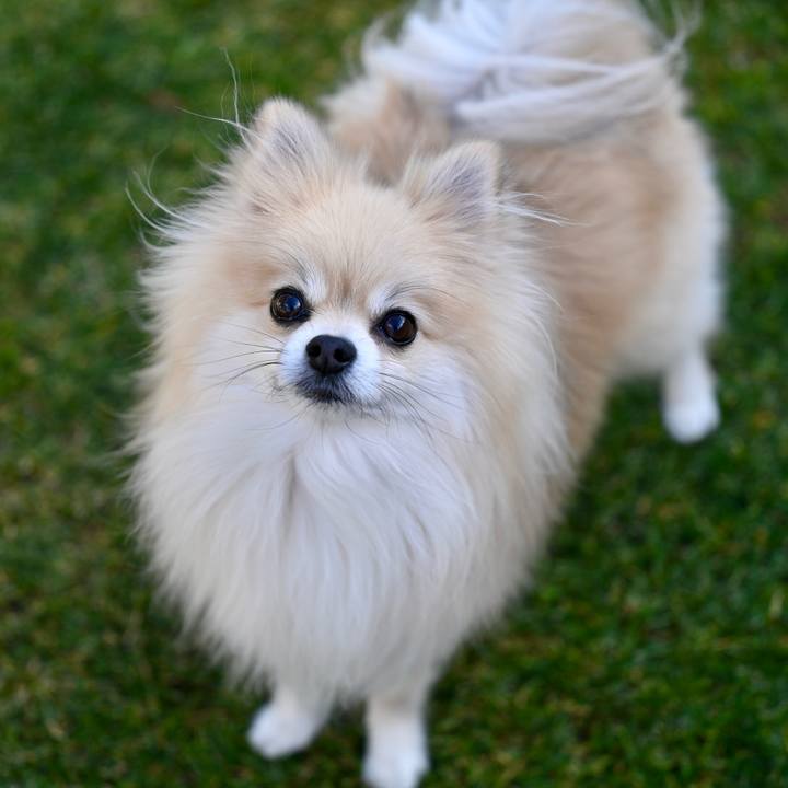 C8f097b1 e1a2 4172 ab93 55e1a4b731cd 1764405473368