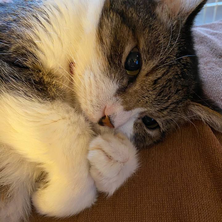 C8f0a9cd 5f56 43fd 8789 30724c52e3e0 1600339424556