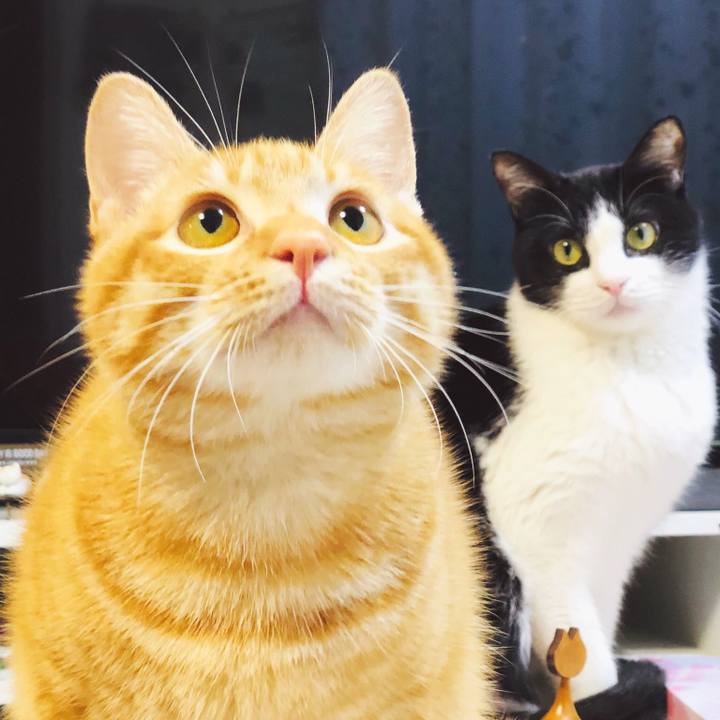 C8f0ab67 dd78 4d2a 9ae3 bca6a29e41e4 1585002997020