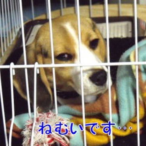 C8f0adfd c627 49aa a6b9 f1ad64bfe557 1677540711632