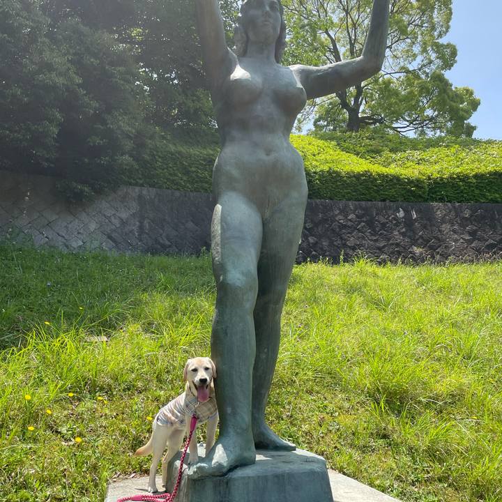 C8f0cdea b94e 49e4 a85e 37591ed6e4c4 1621168430024