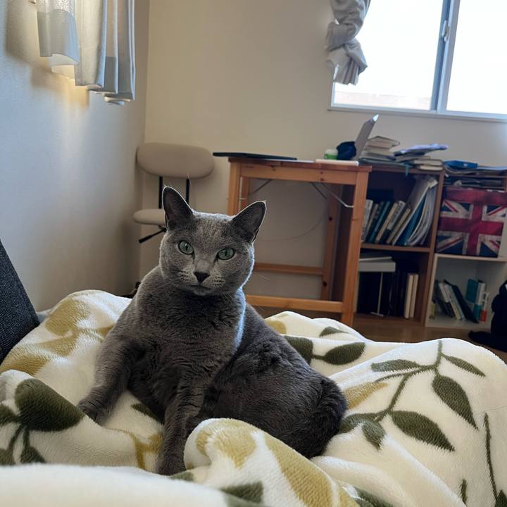 C8f0e6be 4aec 47ec 9ba2 dee8cf022619 1763790658743