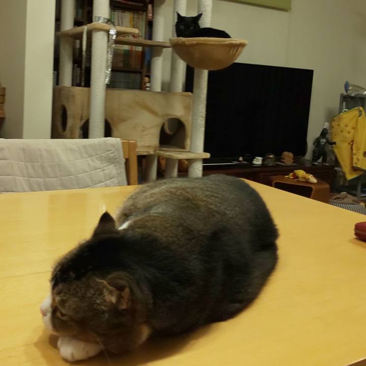 C8f0f8ea fc22 43ef 889f c73a2171361b 1707397970521