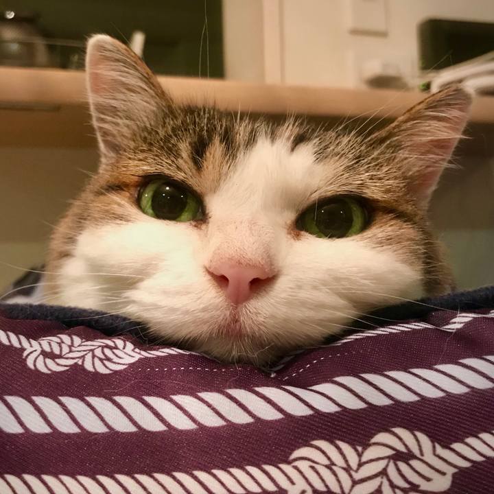 C8f13972 fa7c 49c7 aefc a52aa1718d55 1600263565542