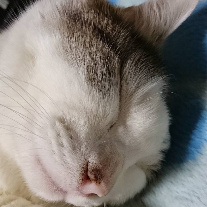 C8f14cdd 63a8 461d 9508 a47fbd52c4dc 1641038498510