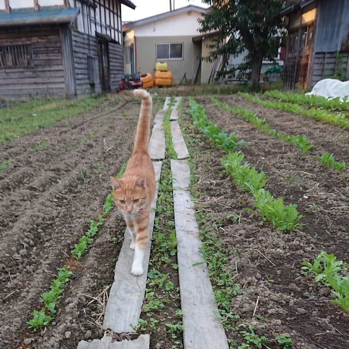 C8f16936 cca9 4a9c 9713 dfb0a297b46b 1568839946831