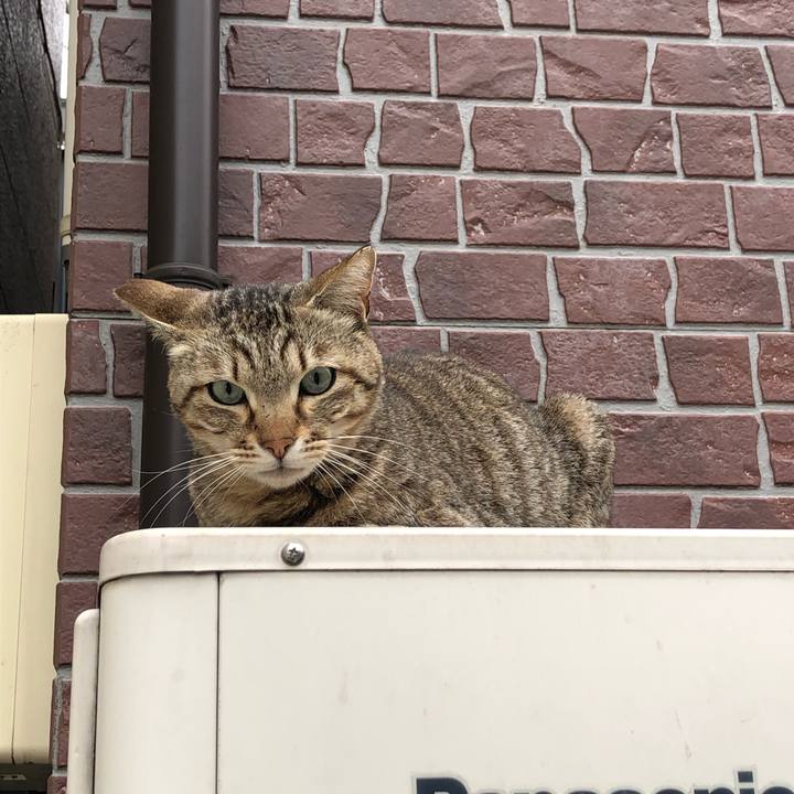 C8f17384 b751 4f62 93be 2862dfde379a 1583135235822