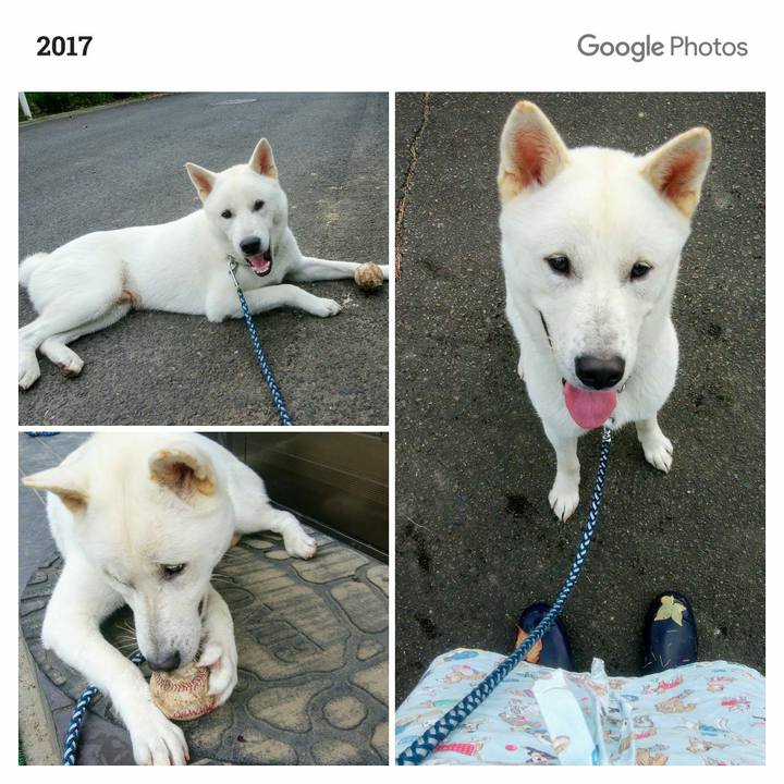 C8f1741d 4bd0 4f7d bb59 7010464158ef 1535326735412