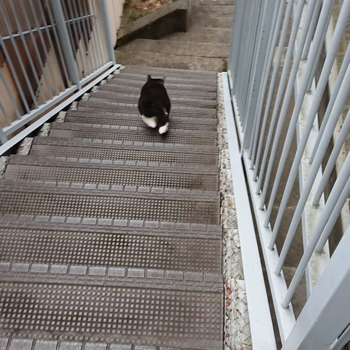 C8f18b6d 0bfc 46b1 9550 744580904de1 1598915028475