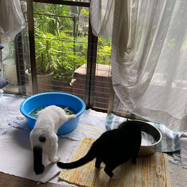 C8f19735 bdbb 4e5f 8777 6b595c14f6e9 1692098723847