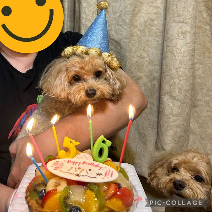 C8f1a79f d398 4d60 85f4 1067b03f521f 1692313667513