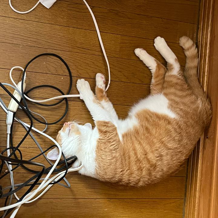 C8f1ab21 764a 410b 8ec4 24de9a3334bc 1690340862379