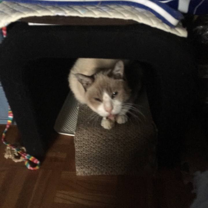 C8f1b340 f0b5 4872 92f6 dc88a78aaed8 1509667042864