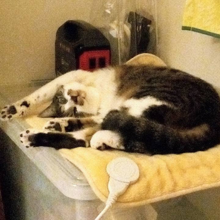 C8f1dadb aa1b 489c a092 6f1209048a29 1765435161521