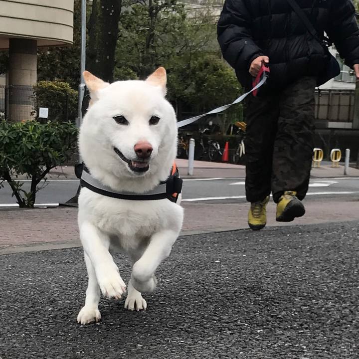 C8f21c0f a0f4 40eb b664 f53364bd6d99 1555026474298