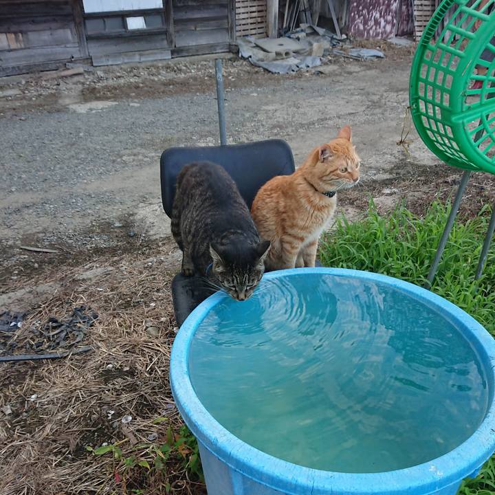 C8f2a28d 19ec 44c5 b3c6 8bcb239a2b39 1659862528645