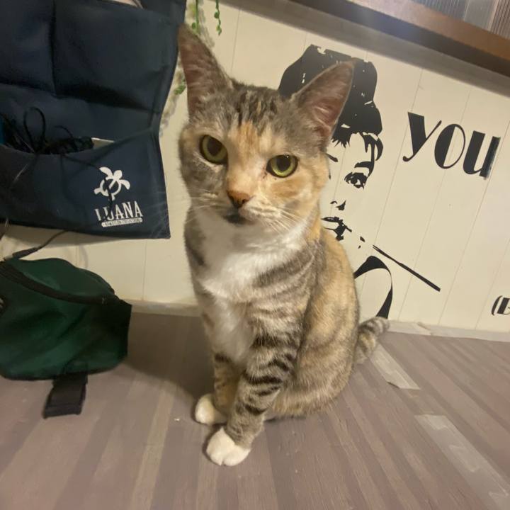 C8f2d5e9 e8ac 4978 81f9 c5b7a6143b44 1621610453732