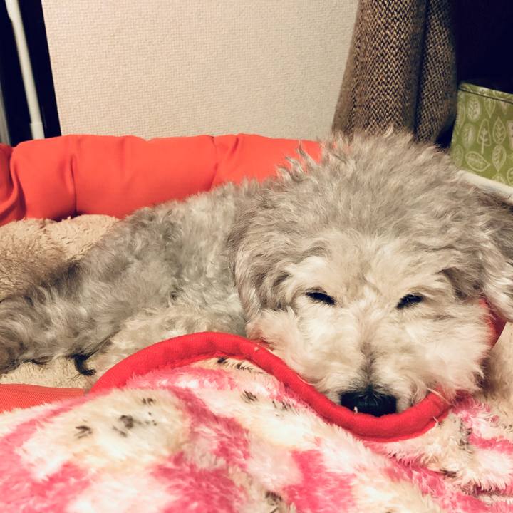 C8f301cd f833 4455 8d47 06850d17816d 1546956600766