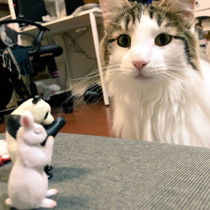 C8f30ae7 b546 4290 b5f3 d41d3539be12 1544277817077