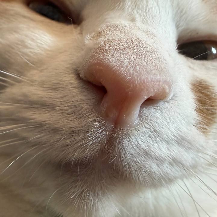 C8f31225 0811 4329 8707 84f45e2d3720 1772369386266