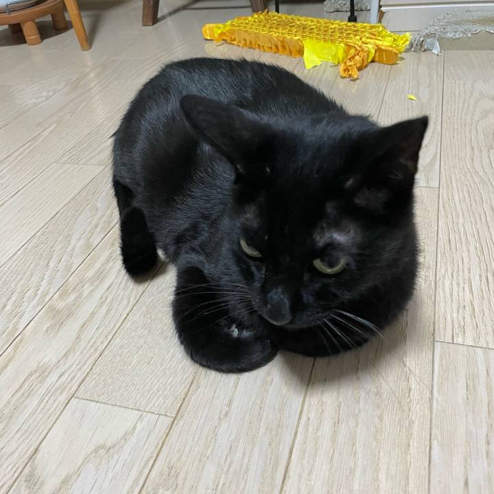 C8f336c2 f1a6 4024 93c0 e46edecff388 1756115586245