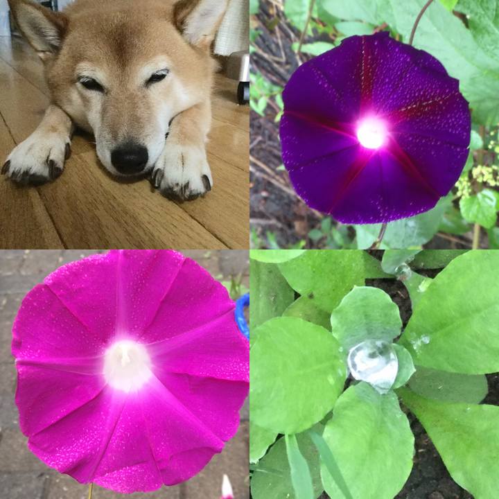 C8f35539 7dd8 41a4 97d1 0b3e880d1733 1563881546191