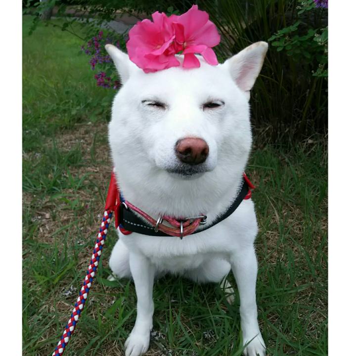 C8f3579b d88e 4d14 9132 834a11947699 1569140004077