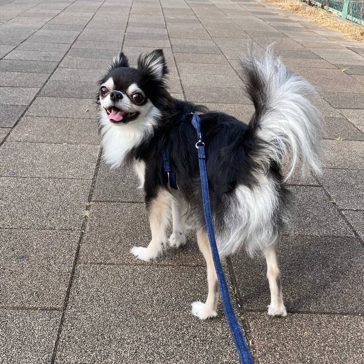 C8f3ac69 7872 4da7 94fa 848367ec4f2e 1656856110550