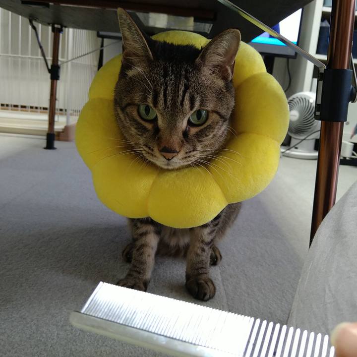 C8f3cfda d458 4c47 b131 ff6fd3b3cfbc 1729224086857