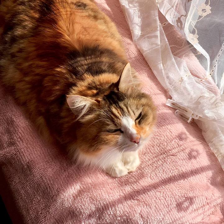 C8f3d02b 22bb 4ce6 95ae b9276d569198 1573030341205